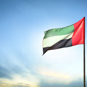 UAE Surpasses the U.S to Become the Leading Country for Sales of Digital Tokens