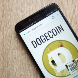 Dogecoin [DOGE] Interview: Core Dev Ross Nicoll Says “Huge Step Forward” Made on Doge/Ethereum Bridge (Exclusive)
