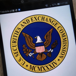 US Securities Laws May Cover Initial Coin Offerings: Federal Judge