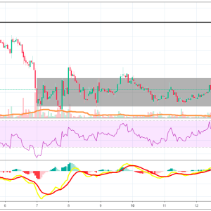 Ripple’s XRP Continues Range Trading As Market Leader Bitcoin [BTC] Finds Support
