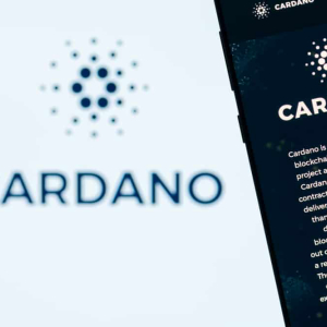 IOHK Announces the Launch of the Cardano Ambassador Program