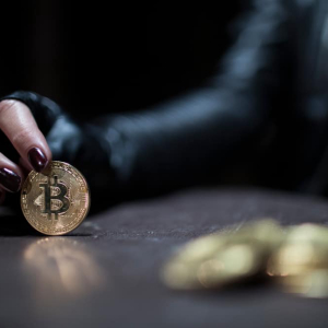 New York Woman Who Laundered Money for ISIS Using Bitcoin Pleads Guilty