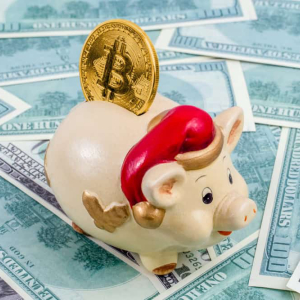 Fintech Experts Make Bitcoin Price Predictions, Say BTC Could Rise by 84% in 2019