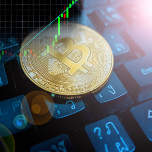 Michael Novogratz Hopes for a Renaissance as Bitcoin Bottoms Out