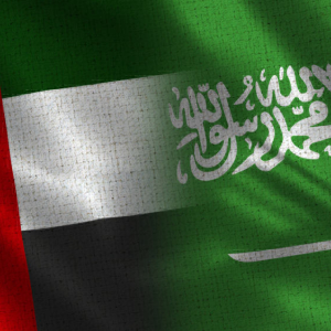 Saudi-Emirati Coordination Council Launches a Pilot Cryptocurrency