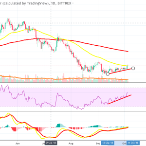 Decred Outperforms Despite Week of Consolidation
