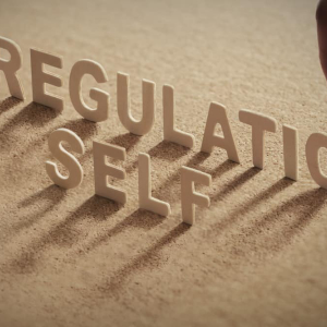 Is Self-Regulation Good Enough to Lure Institutional Investors Into the Cryptocurrency Market?