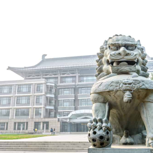 Tron Foundation Successfully Organizes Blockchain Event With China’s Peking University Students