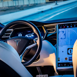 Tesla’s Self-Driving Spies Cruise the Streets, Watching Daily Life in High-Definition 3D