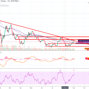 Bitcoin [BTC] Price Forecast- Another Bullish week in store?