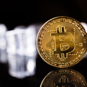 Bitcoin Stock Slapped with Trading Freeze Amid SEC Probe
