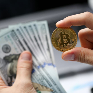 Traders Who Shorted Bitcoin From All-Time High $20,000 are Cashing Out: Is The Bottom is Near?
