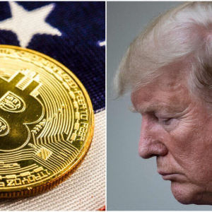 Expert: Trump's Crypto-Bashing Staff Is Duping Him on Bitcoin