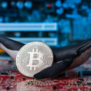 Peter Schiff Pounces, Chalks Up Bitcoin to Marketing Success for Early Whales