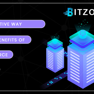 Bitzon- A Cost-Effective Way to Harness Benefits of the E-commerce Domain