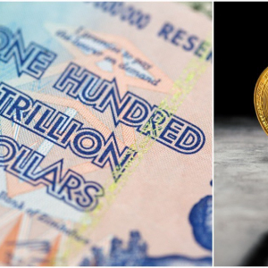 Bitcoin Price Hits Insane 1000% Premium in Hyper-Inflated Zimbabwe