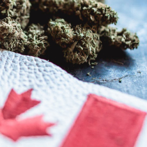 Canada to Study Cannabis Cryptomarkets Ahead of Recreational Marijuana Legalization