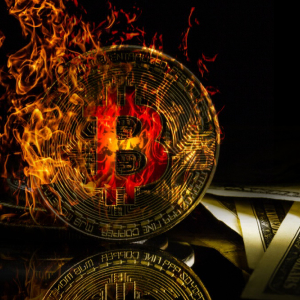 Newsflash: Bitcoin Crashes Below $10,000 – When Will the Bleeding Stop?