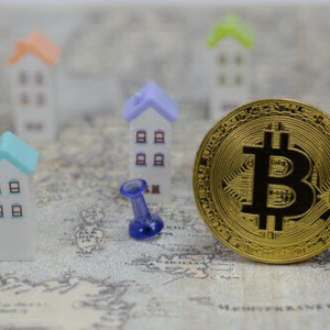 Bitcoin the ‘Best House in a Tough Neighborhood’: Wall Street Strategist