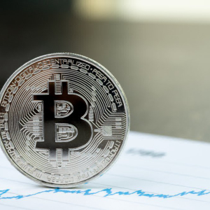 Bitcoin Price Makes Gains While Wider Crypto Market Struggles
