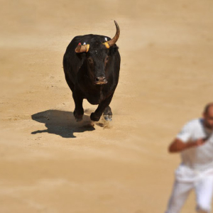 Bitcoin Price Fails to Record Big Breakout But Market Remains Bull-Friendly
