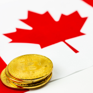 Hacked Canadian Bitcoin Exchange MapleChange Returns to Twitter, Opens Refund Chat Room