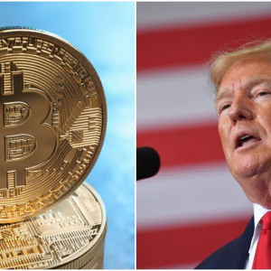 Donald Trump Finally Found a Market He Can’t Move – Bitcoin