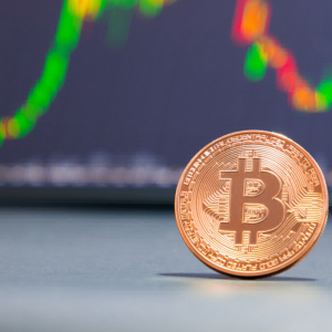 Bitcoin Price Collapses Under $8,000 Again as Traders Fear Bigger Fall