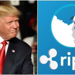 Ripple Shills Twist Into XRP-Shaped Pretzels to Spin Trump Bitcoin Tweets
