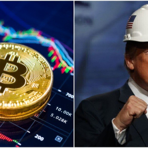 Bitcoin Price Surges Toward $11,500 as Trump Eyes USD Manipulation