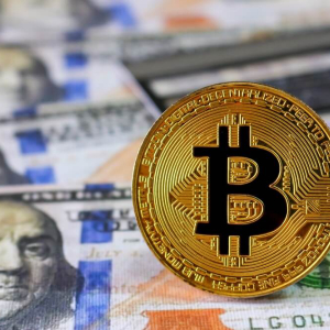 Bitcoin’s Longest Bear Market Hits 6-Month Milestone. The USD? Strolled Past the 79-Year Mark