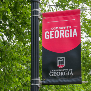 Bullish on Blockchain: Georgia Universities to Offer Fintech Degree Programs