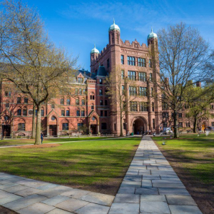 Yale University Has Invested in Two Cryptocurrency Funds: Report