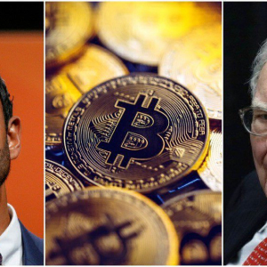 Bitcoin Is the ‘Single Best’ Financial Hedge: Warren Buffett ‘Disciple’