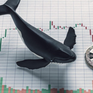 Bitcoin Flash Crash Proves Whales Are Messing With Us