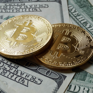 Cryptocurrencies to Constitute 5% of US Investment Pool in 2019 : Survey