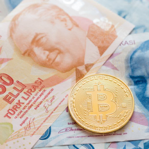 Bitcoin Price Drops Against Turkish Lira as Treasury Seeks to Calm Investors