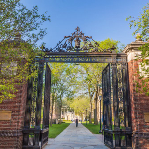 Will Yale’s Investment in Crypto Lead to More Institutional Investors?