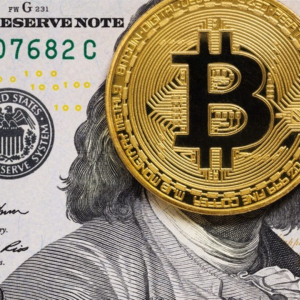 USD to BTC conversion for dummies, should you start with 1 usd to btc now?