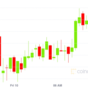 Market Wrap: Traders Buy the Dip and Bitcoin Holds at $9,200