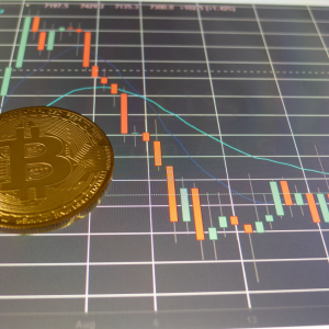 Bitcoin Price Volatility is Down 98% Year-on-Year