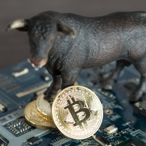 Weekly Bitcoin Price Indicator Prints Strongest Bull Signal Since Early 2018
