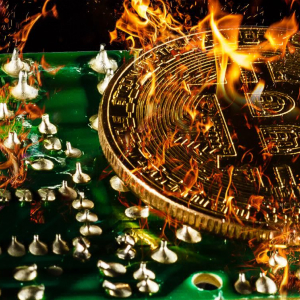Crypto Startups Are Destroying Millions of Coins – And Investors Love It