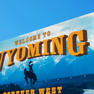 Overstock Subsidiary to Put Wyoming County Land Registry on the Blockchain
