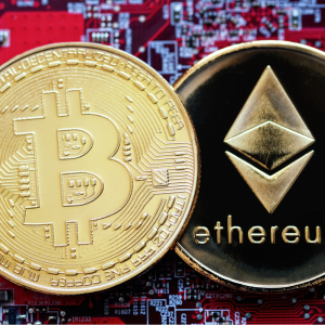 Why Ethereum Briefly Overtook Bitcoin in Daily Transaction Fees