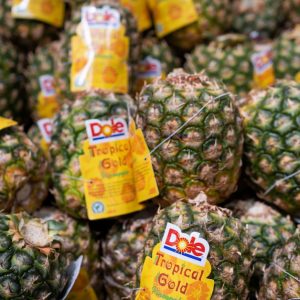 Dole Plans to Use Blockchain Food Tracing in All Divisions by 2025