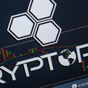 Users of Hacked Exchange Cryptopia Can Now Make Claims to Recover Funds