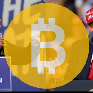 Who Is Better for Bitcoin, Trump or Biden?