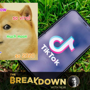 TikTok Let the Doge Out: Why TikTok Doge Is Everything About 2020 Finance in One Story