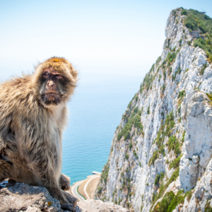 It’s Tough Getting Approved in Gibraltar, Says Green-Lighted Crypto Derivatives Exchange